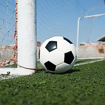 体育媒体使用实时篮球数据